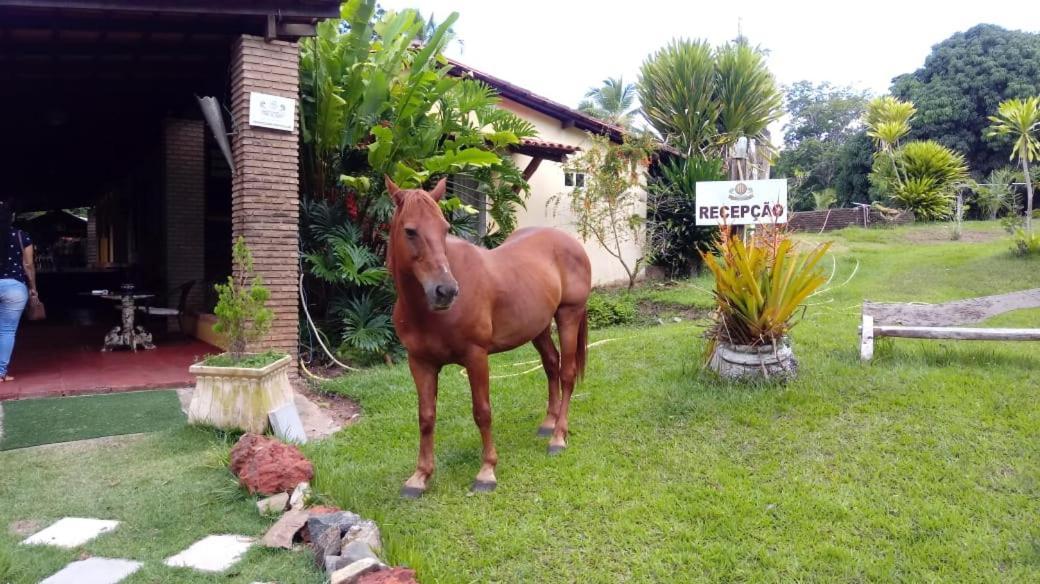 Hotel Fazenda Agua Da Prata Agri Turismo Camaçari Extérieur photo