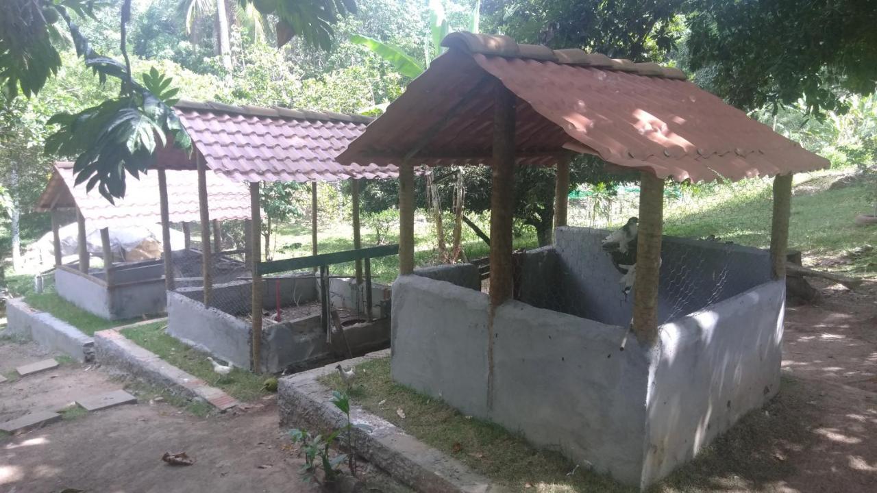 Hotel Fazenda Agua Da Prata Agri Turismo Camaçari Extérieur photo